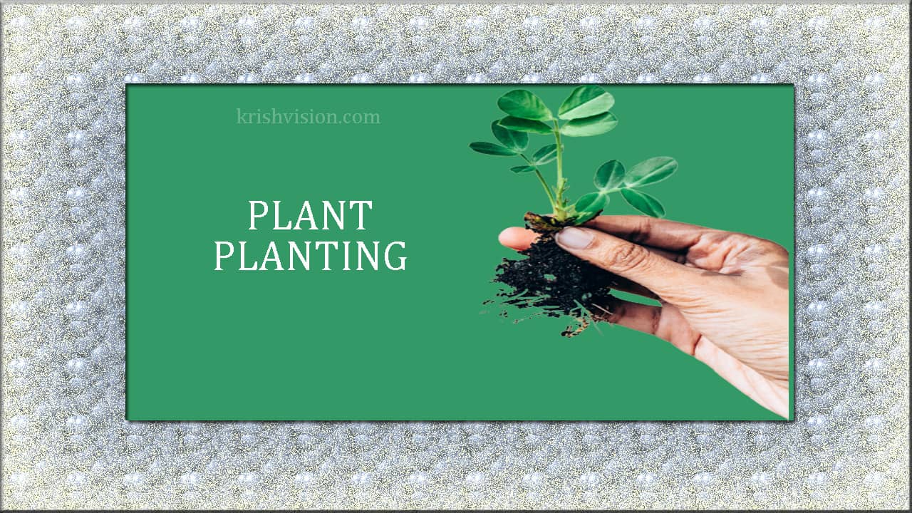 Plant Planting